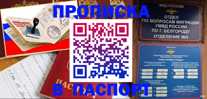 купить прописку в Ермолино